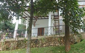 Lavender Hills Home Stay